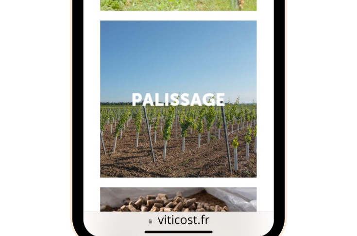 Une aide en ligne pour faire les meilleurs choix de piquets de vigne