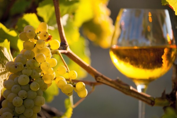 Même pas besoin de désalcooliser ce vin pour qu’il ne dépasse pas 9 degrés