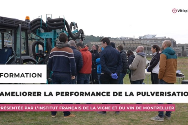 Le milieu viticole en vidéo sur la nouvelle plateforme Agriflix