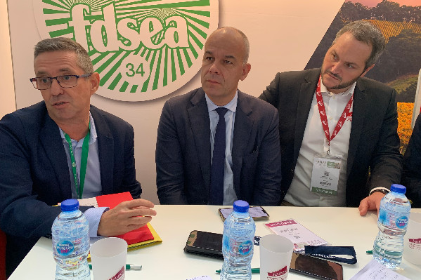 'Pour préserver la trésorerie du vignoble, il faut reconsolider la dette bancaire'