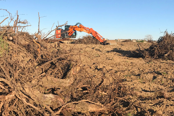 Hiver à l’arrache pour le vignoble de Bordeaux