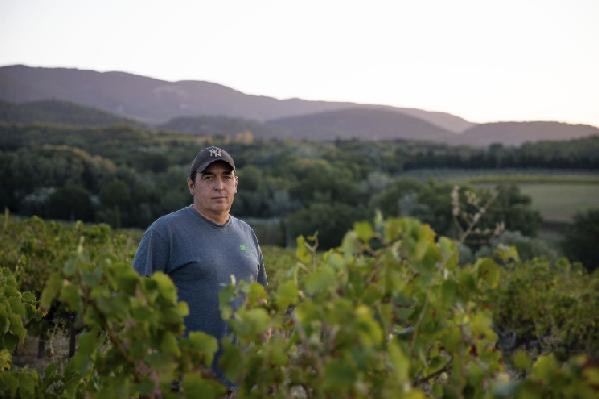 Difficile de se priver des antimildious classés CMR, surtout par forte pression