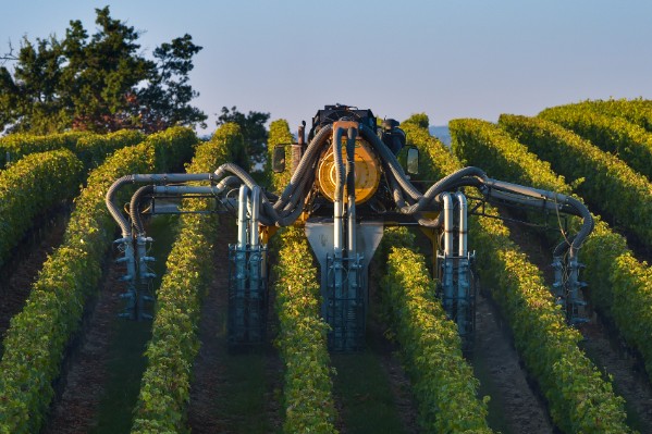 Ils améliorent leur stratégie phytos en jouant à un jeu