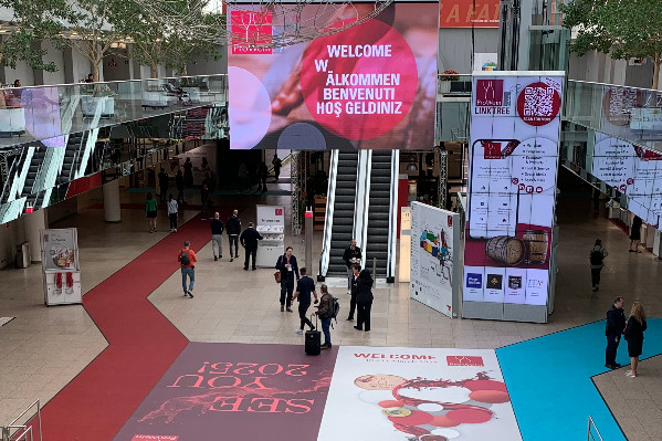 En polycrise, les vignobles européens appellent à un sursaut politique