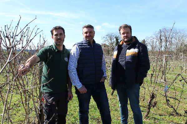Le vignoble lotois exige une rallonge de 730 000 € au fonds d’urgence