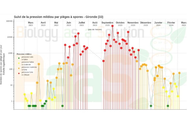 Dans certains vignobles, le mildiou risque de faire 'très mal très tôt'
