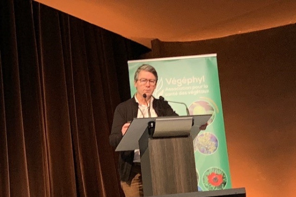 4 usages phytos menacés en vigne par les futurs retraits