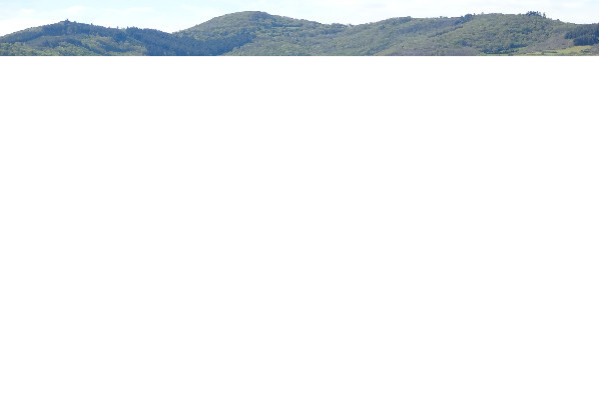 +10 €/hl, l'inflation de la main d'œuvre pèse sur les résultats des vins du Beaujolais