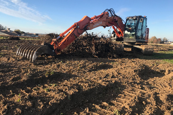 Du rab’ d’arrachage de vignes à 6 000 €/ha dès avril pour Bordeaux