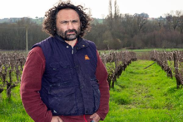 'Trois passages de travail du sol feront l'affaire',  les vignerons serrent les boulons face à la crise