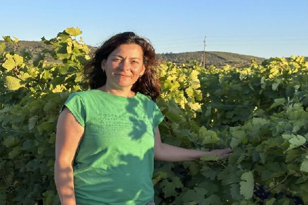 'Je vais pouvoir payer mes factures', les aides d'urgence soulagent les vignerons