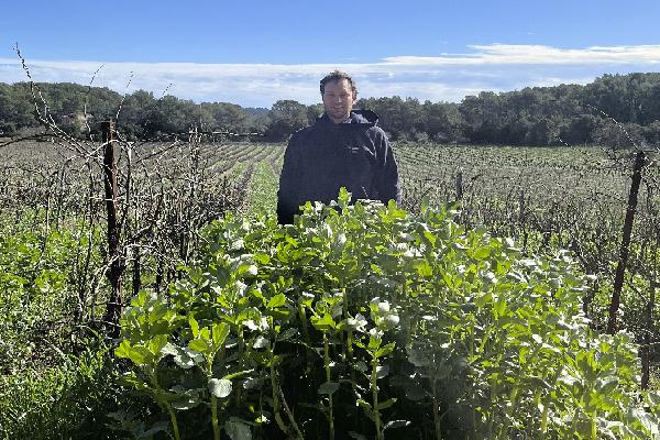 En Provence, des vignerons aux petits soins pour leurs sols