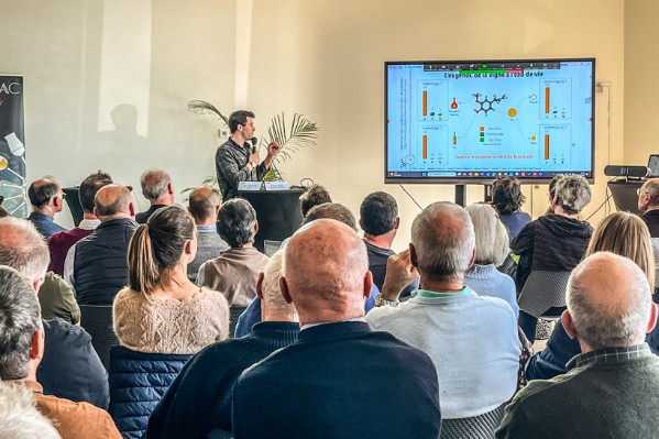 L'eugénol fait la différence dans certains armagnacs