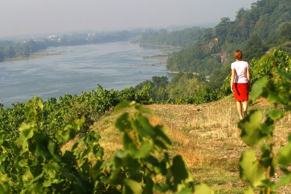 Les touristes plébiscitent le vignoble du Val de Loire