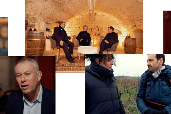 Cognac vise toujours 100 % de vignes certifiées environnementalement en 2028