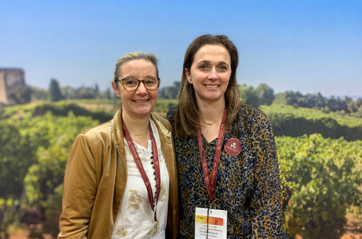 Ralentissement sans essoufflement pour les vins de Châteauneuf-du-Pape