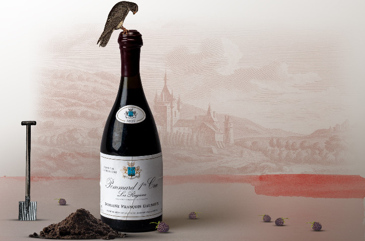 3 à 6 000 € un vin de Pommard 1897 : une Côte de Beaune affaire ?