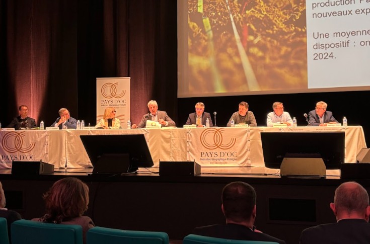 Comment les pays d’Oc veulent sortir de la masse des vins de cépage