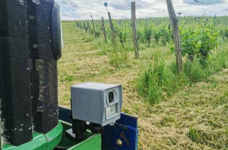 Greenshield emporte avec lui son capteur de mildiou de la vigne