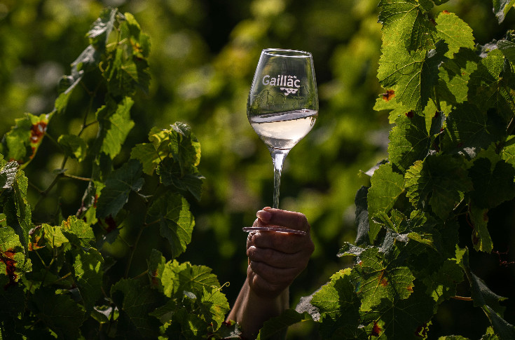 Les vins de Gaillac se centrent sur les cépages autochtones