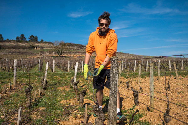10 millions € pour aider les jeunes viticulteurs, il en manque encore 30 pour la filière vin