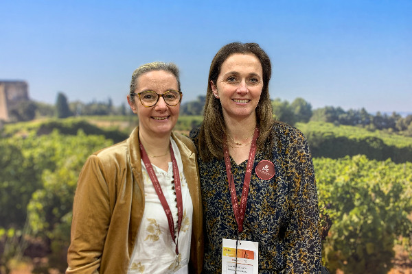 Ralentissement sans essoufflement pour les vins de Châteauneuf-du-Pape