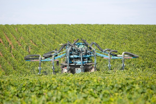 Certiphyto automatiquement prolongé d’1 an pour les viticulteurs et leurs salariés