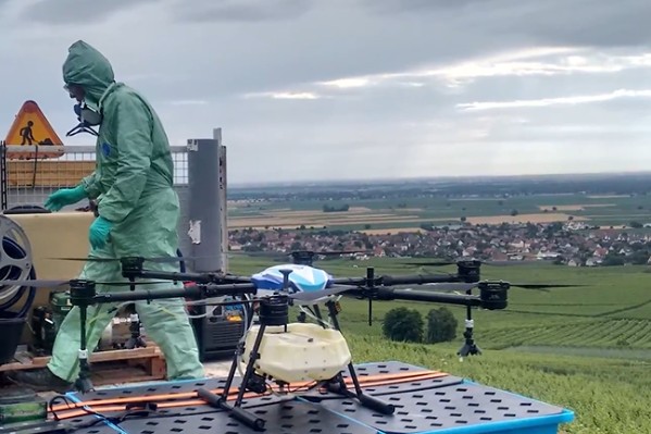 Les vignes restent privées de traitement phyto par drone