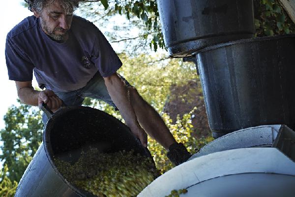 'Travailler sur de petites surfaces, c'est faire le choix de la rentabilité'
