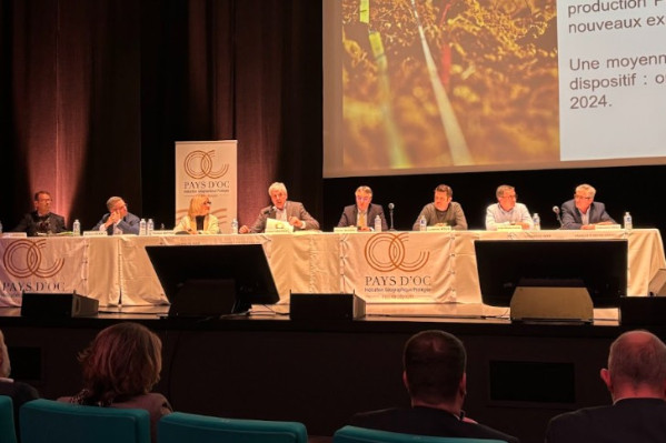 “Who produces 1 million hectolitres of Merlot worldwide? Who produces 800,000 hl of Chardonnay? Pays d’Oc are the only ones!”