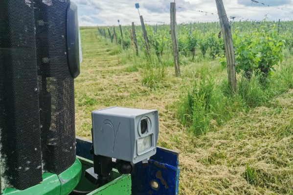 Greenshield emporte avec lui son capteur de mildiou de la vigne