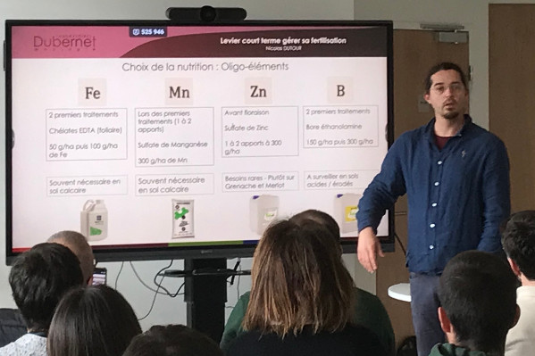 Travailler mieux la vigne pour gagner plus, est-ce possible ?