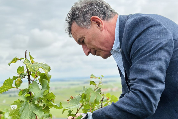 Franck Leroy préside l'Assemblée des Régions Européennes Viticoles