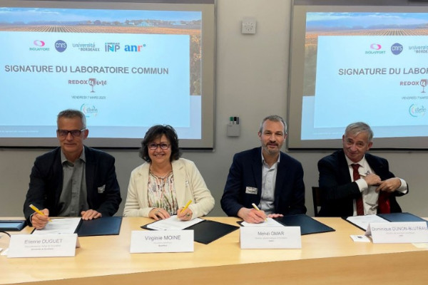 Can the ageability of wines be predicted from the vine?