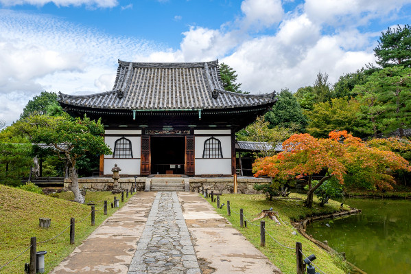 Les défis du marché japonais des vins : du label bio aux taux de change