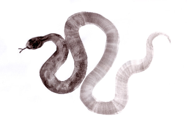 Un ministre pour sauver cognac des 35 % de taxes chinoises