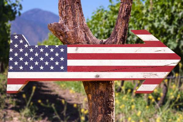 Donald Trump veut annexer les vignobles français 'made in USA'