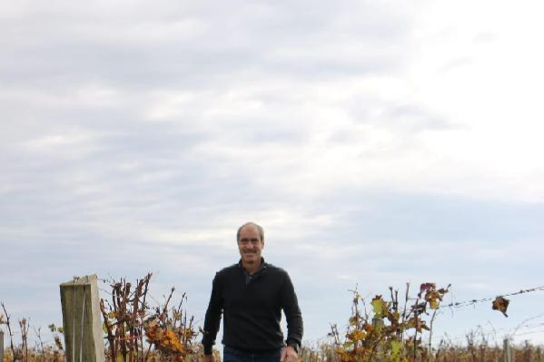 'Plus il y a d'observateurs, meilleur est le reflet de la situation sanitaire', ces vignerons scrutent leurs vignes pour alimenter les BSV