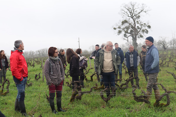 Flore et travail mécanique sont compatibles, sans 'mise sous cloche' des parcelles