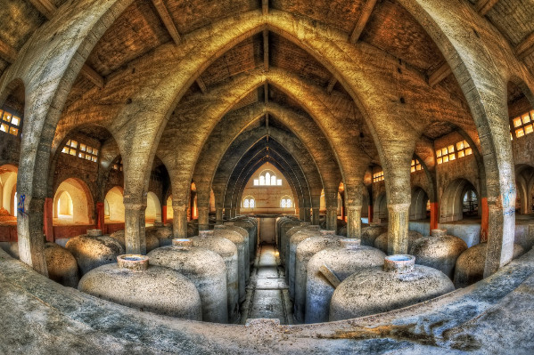 Les caves coopératives se précarisent… et n’ont pas encore touché le fond de la crise