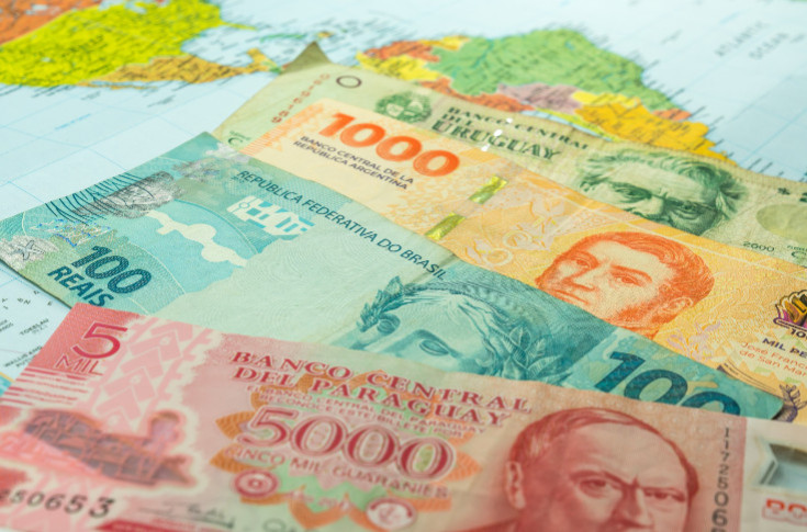 Le Mercosur n'irrite pas toute l'agriculture européenne : 