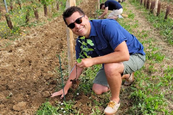 La diversité intravariétale de la vigne : un vrai levier d'adaptation au réchauffement climatique