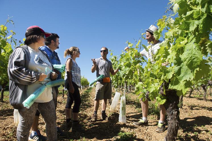  Cinq conseils pour bien manager les saisonniers