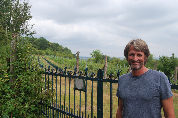 An association aims to resurrect Normandy’s vineyards An association aims to resurrect Normandy’s vineyards