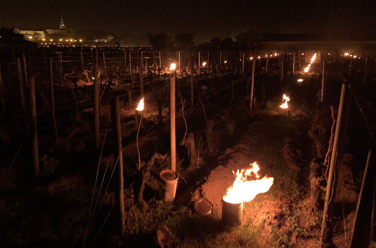 Appels syndicaux au soutien public des vignerons encore touchés par le gel 