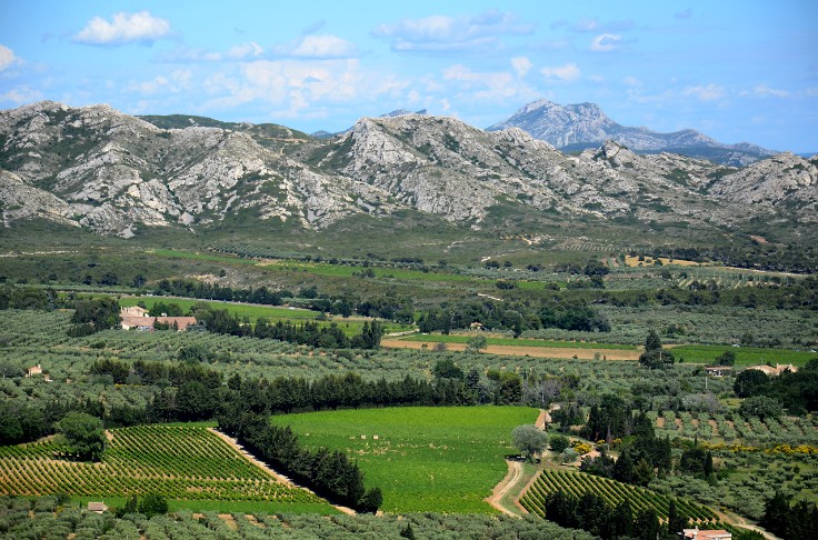 Comment améliorer l'irrigation des vins rosés sans impacter leur qualité ?