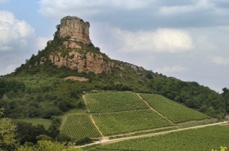 De la taille au GNR, les coûts de production des vins de Bourgogne (Saône-et-Loire)