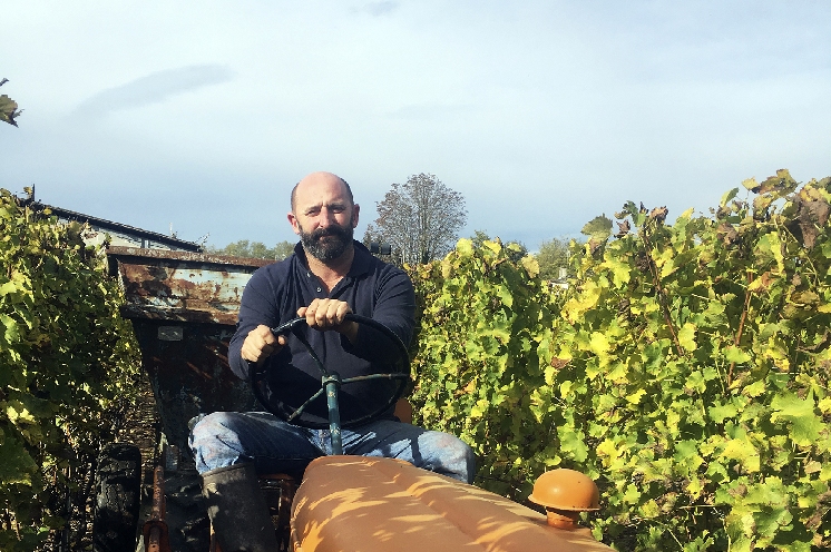  Prévenir les riverains des vignes avant de traiter devient obligatoire