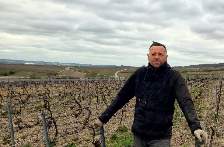  La stratégie des vignerons face à la pénurie de phyto qui menace