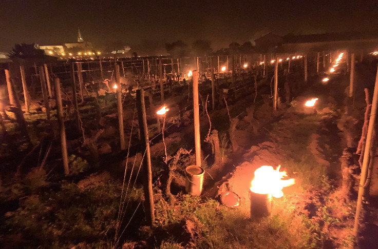 The tops and flops of frost protection systems for vineyards